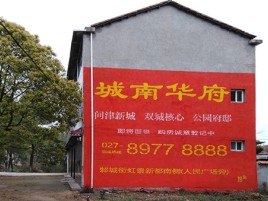 隆回百分之90的人都不了解的农村墙体广告