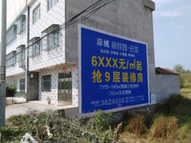 隆回墙体广告质量分析