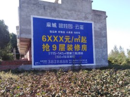 隆回墙体广告的好处