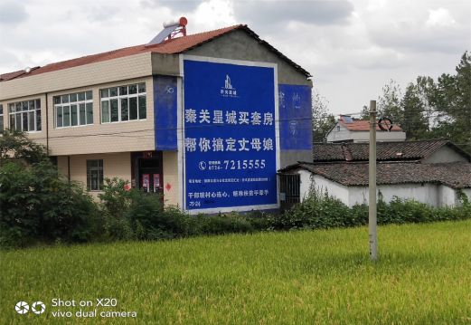 隆回决定墙体广告价格的因素有哪些?