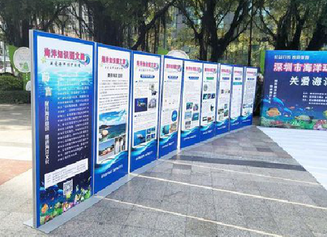 隆回KT板的种类和知识。